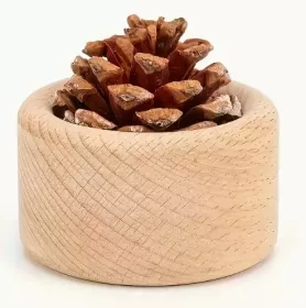  Dřevěný difuzér ŠIŠKA